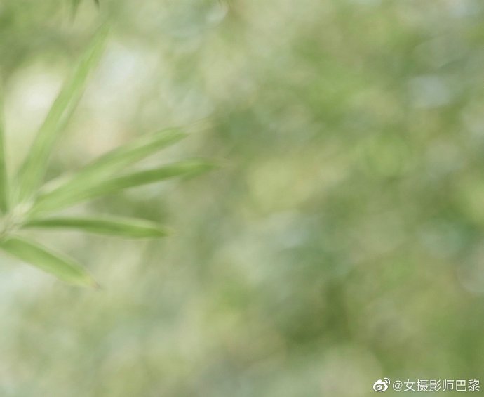 亚洲女性女性裸体视频无码视频无遮挡图片-午夜福利高清在线观看-水蜜桃影视